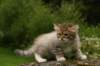 img_7817_small.jpg