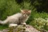 img_7821_small.jpg
