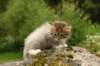 img_7829_small.jpg