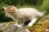 img_7832_small.jpg