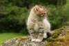 img_7850_small.jpg