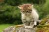 img_7857_small.jpg