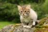 img_7860_small.jpg