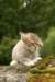 img_7861_small.jpg