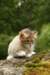 img_7862_small.jpg