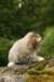 img_7863_small.jpg