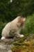 img_7864_small.jpg