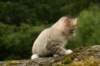 img_7865_small.jpg