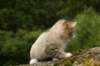 img_7867_small.jpg