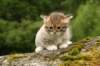 img_7868_small.jpg
