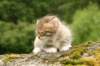 img_7870_small.jpg