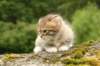 img_7871_small.jpg