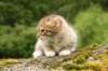 img_7872_small.jpg