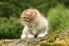 img_7873_small.jpg