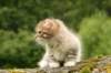 img_7874_small.jpg