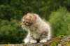 img_7875_small.jpg