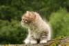img_7876_small.jpg