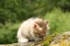 img_7878_small.jpg