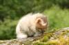 img_7879_small.jpg