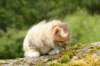 img_7880_small.jpg