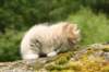 img_7881_small.jpg