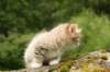 img_7882_small.jpg