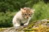 img_7884_small.jpg
