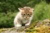 img_7885_small.jpg