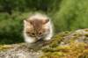 img_7886_small.jpg