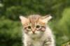 img_7888_small.jpg