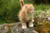 img_8128_small.jpg