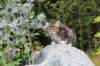 annaesteri26_small.jpg
