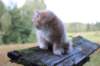 zacaras11weeks8942_small.jpg