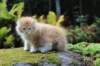zacaras11weeks8943_small.jpg