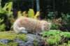 zacaras11weeks8947_small.jpg