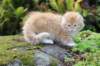 zacaras11weeks8948_small.jpg