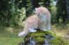zacaras11weeks8951_small.jpg