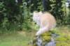 zacaras11weeks8953_small.jpg