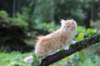 zacaras11weeks8975_small.jpg