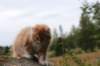 zacaras11weeks8987_small.jpg