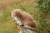 zacaras11weeks8992_small.jpg