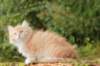 zacaras11weeks8997_small.jpg