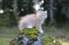 zacaras3months23922_small.jpg