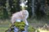 zacaras3months23923_small.jpg