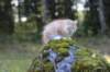 zacaras3months23924_small.jpg