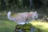 zacaras3months23925_small.jpg