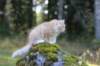 zacaras3months23926_small.jpg