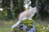 zacaras3months23927_small.jpg