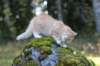 zacaras3months23928_small.jpg