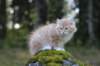 zacaras3months23930_small.jpg